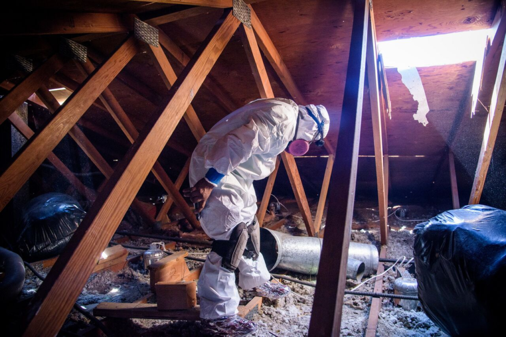 %D0%A0%D0%B8%D1%81%D1%83%D0%BD%D0%BE%D0%BA8