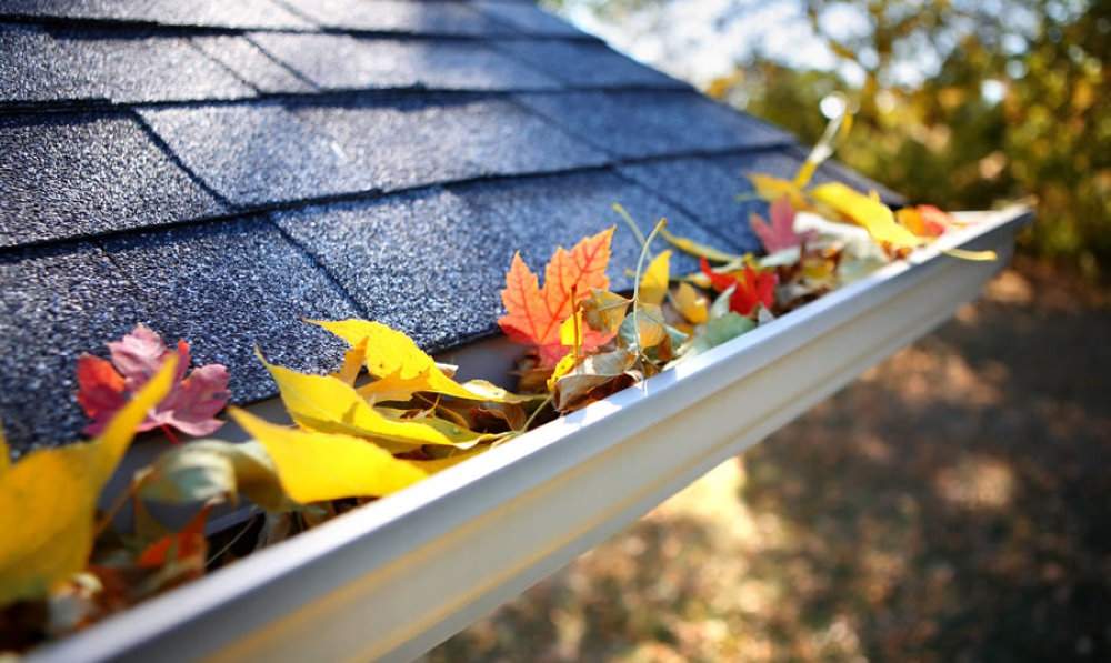 Autumn leaves in roof gutter