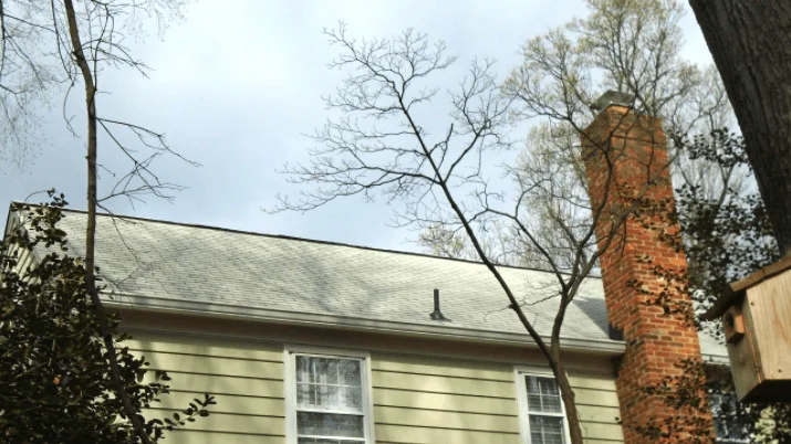 Protecting your asphalt roof